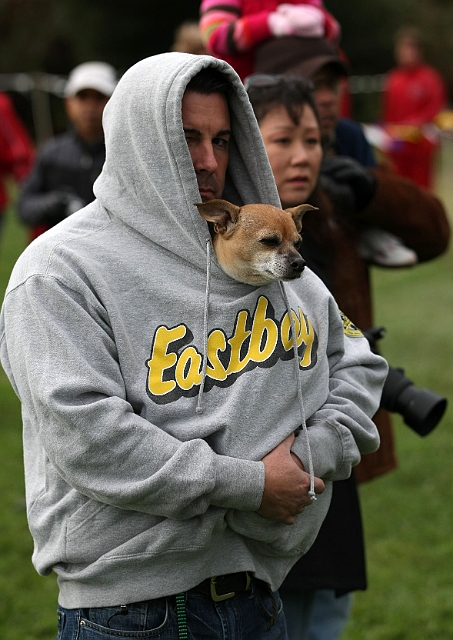 2010NCSXC BD3-227.JPG - 2010 North Coast Section Cross Country Championships, Hayward High School, Hayward, California